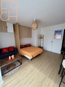 Pièce de vie avec lit